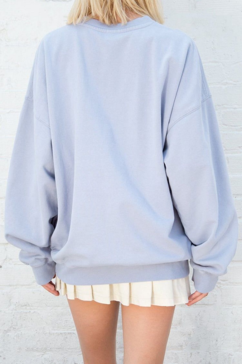 Sweatshirt Brandy Melville Erica Oversized Bleu Clair | JMB-74398158